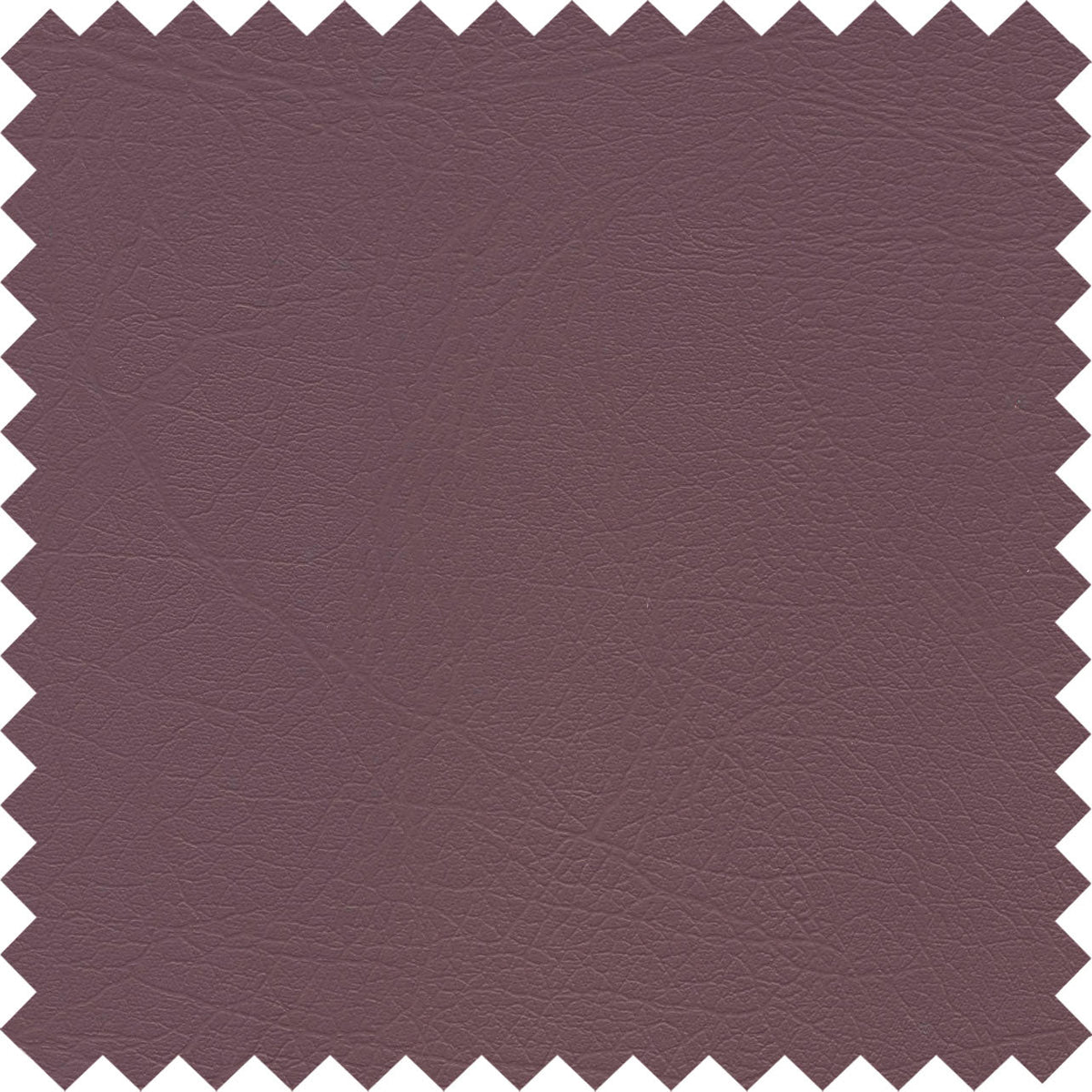 Aubergine PFL44