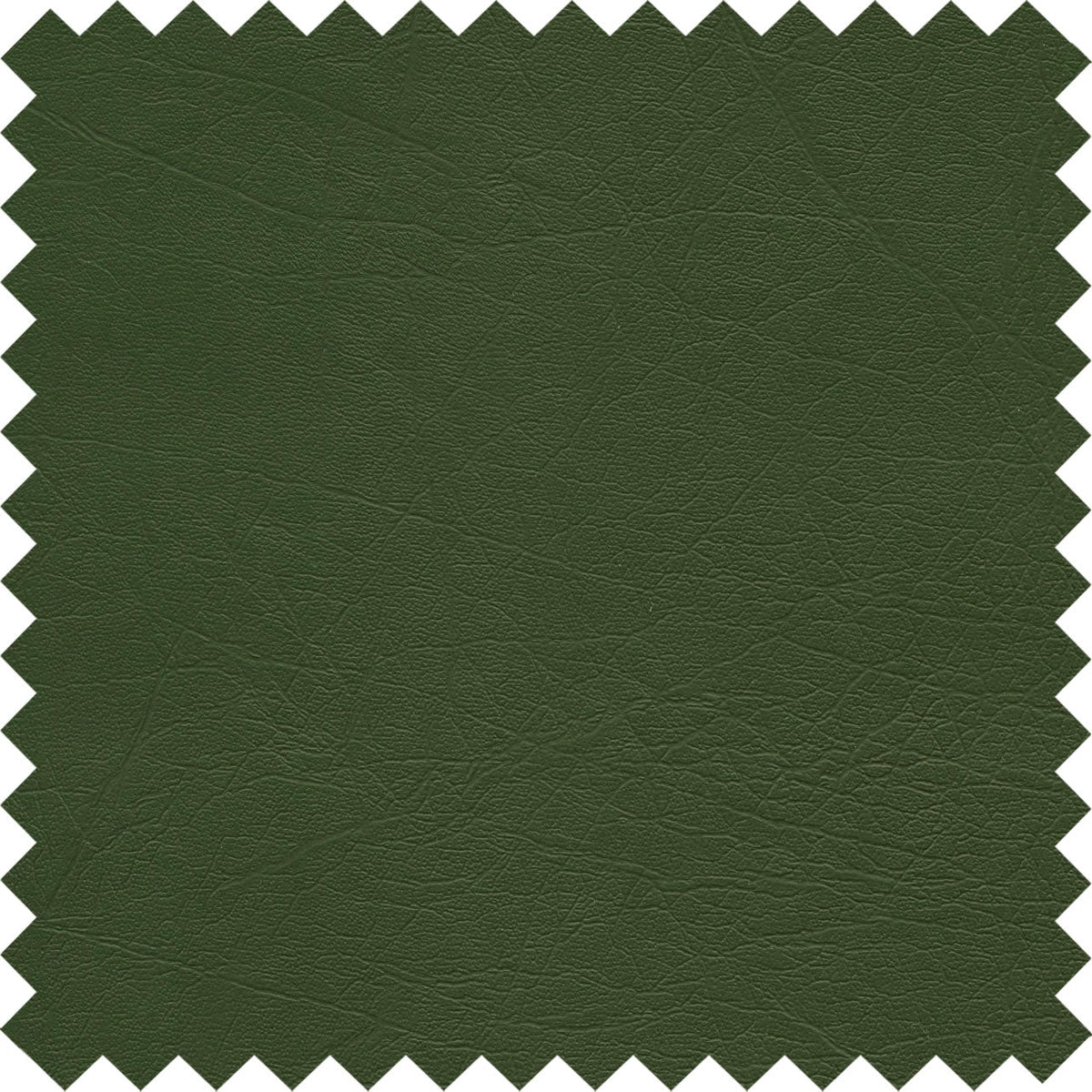 Conifer PFL50
